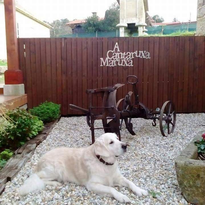 A Cantaruxa Maruxa Turismo Rural Mondariz Exterior photo